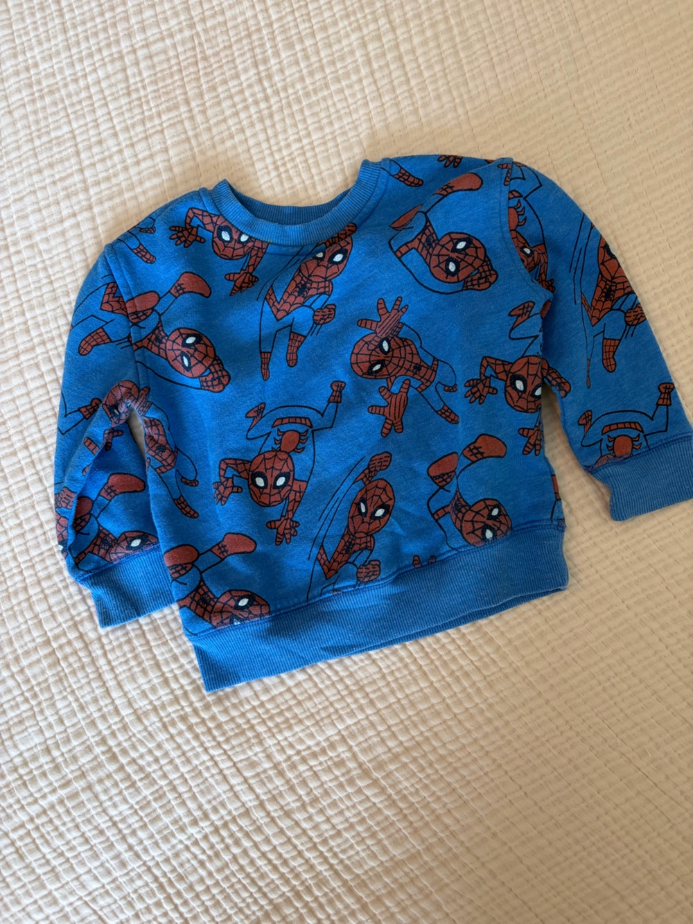 Marvel Blue Spider-Man Graphic Sweatshirt